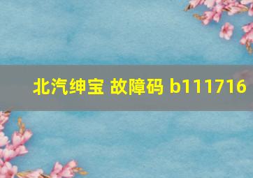 北汽绅宝 故障码 b111716